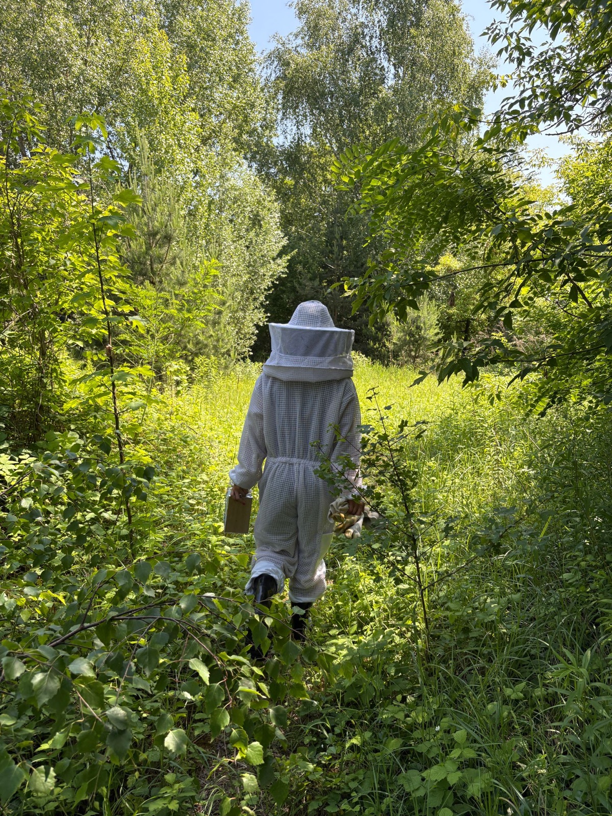 Agentur-Bienen von Wrobel Communications am Standort Hennigsdorf
