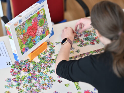 Internationaler Puzzletag 2026